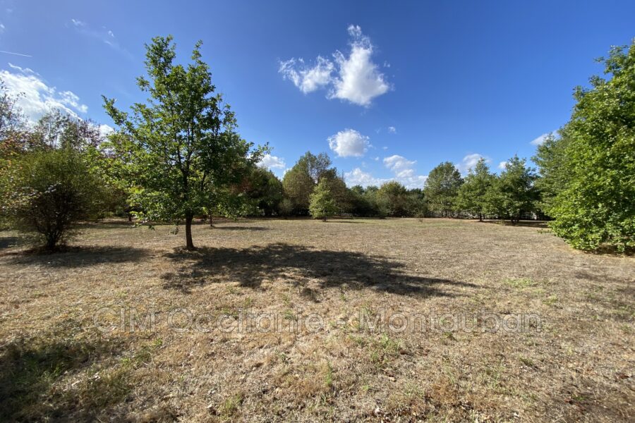 Terrain à vendre à Negrepelisse