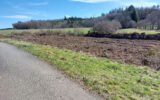 Terrain à vendre à Montaignac-sur-doustre