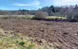 Terrain à vendre à Montaignac-sur-doustre