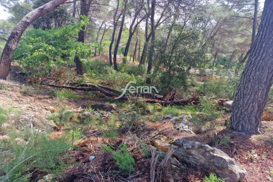 Terrain à vendre à Salernes — Vue dégagée — photo 1