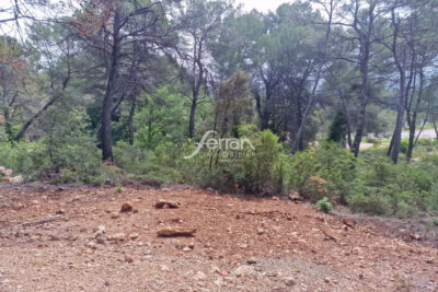 Terrain à vendre à Salernes