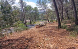 Terrain à vendre à Salernes — Vue dégagée — photo 1