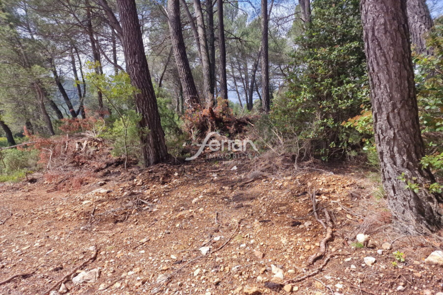 Terrain à vendre à Salernes — Vue dégagée — photo 1