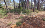 Terrain à vendre à Salernes — Vue dégagée — photo 1
