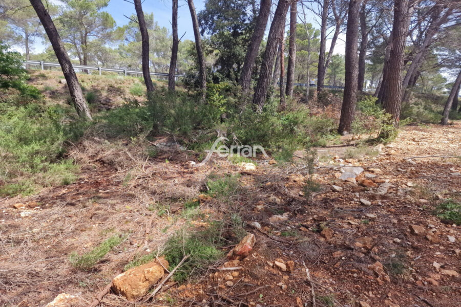 Terrain à vendre à Salernes — Vue dégagée — photo 1