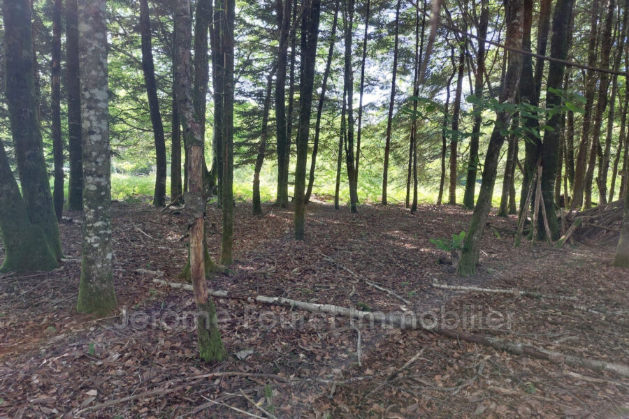Terrain à vendre à Marcillac-la-croisille