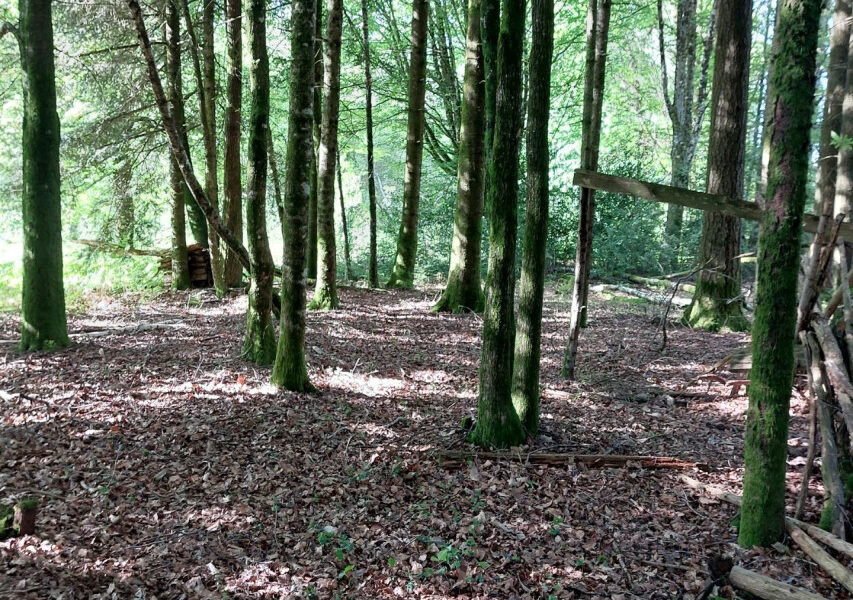 Terrain à vendre à Marcillac-la-croisille