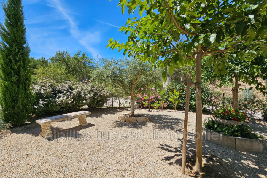 Maison à vendre à Eygalières — Vue montagne — photo 16