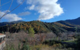 Terrain à vendre à Amélie-les-bains-palalda