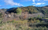 Terrain à vendre à Amélie-les-bains-palalda