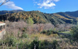 Terrain à vendre à Amélie-les-bains-palalda