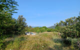 Terrain à vendre à Céret