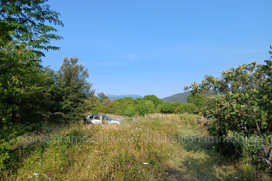 Terrain à vendre à Céret