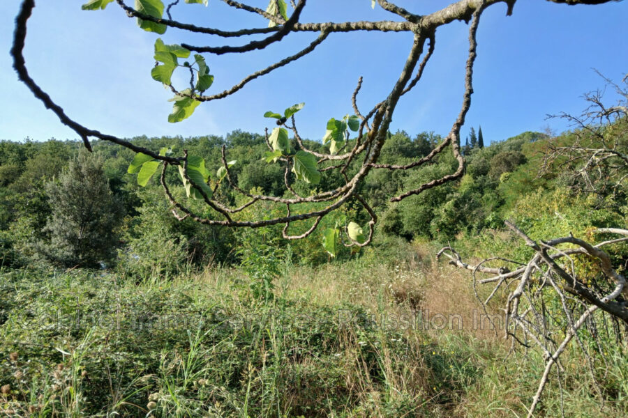 Terrain à vendre à Céret