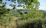 Terrain à vendre à Céret
