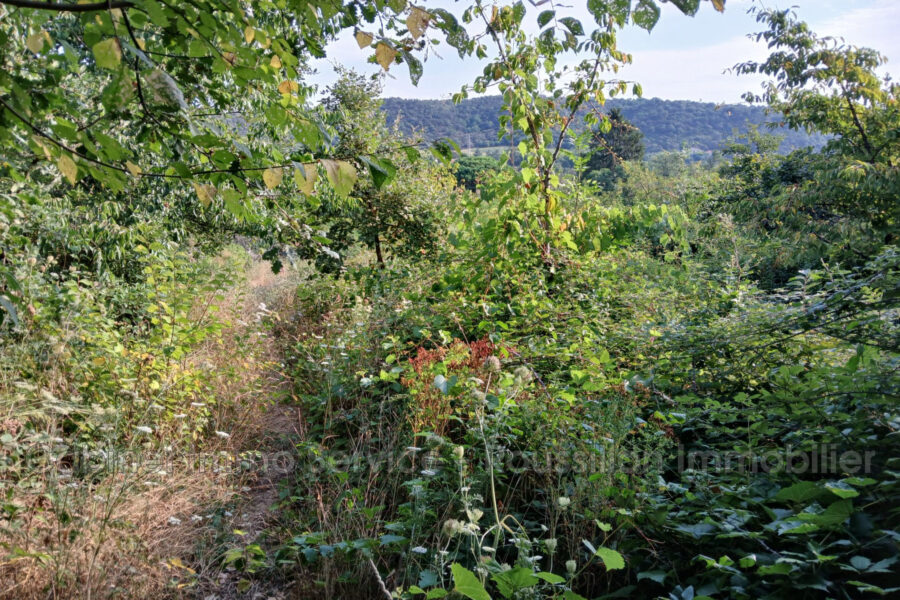 Terrain à vendre à Céret