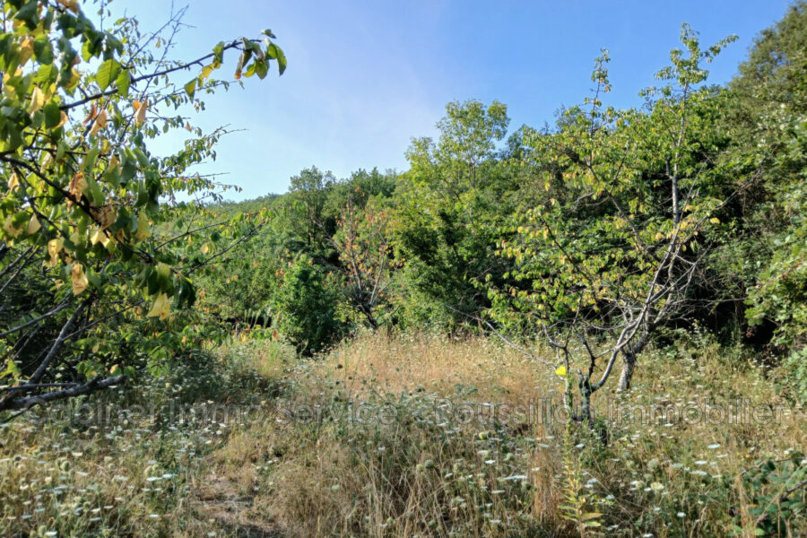 Terrain à vendre à Céret