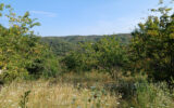 Terrain à vendre à Céret