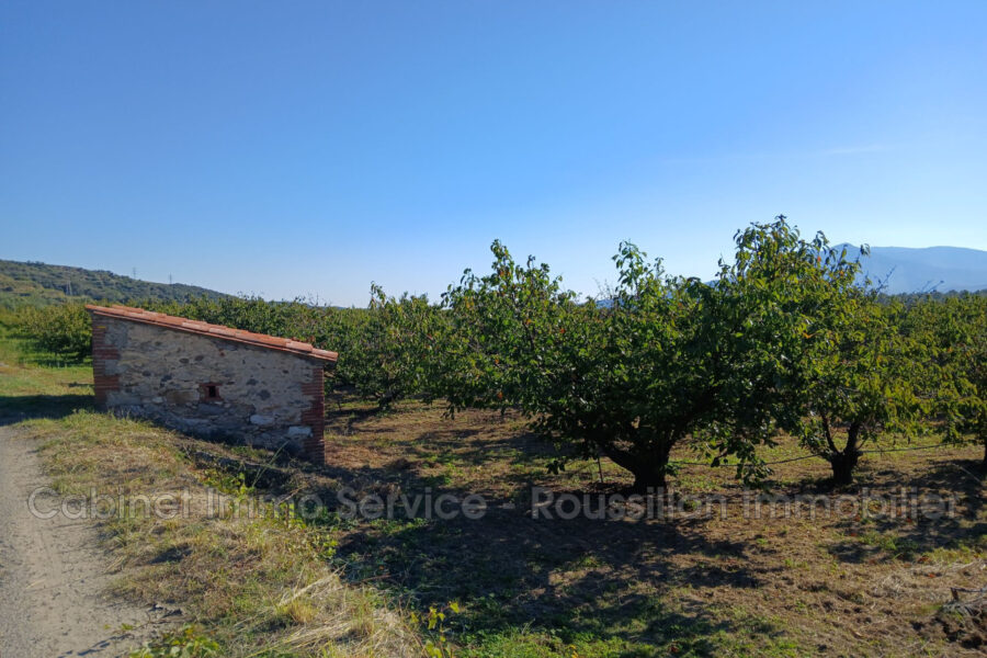 Terrain à vendre à Céret