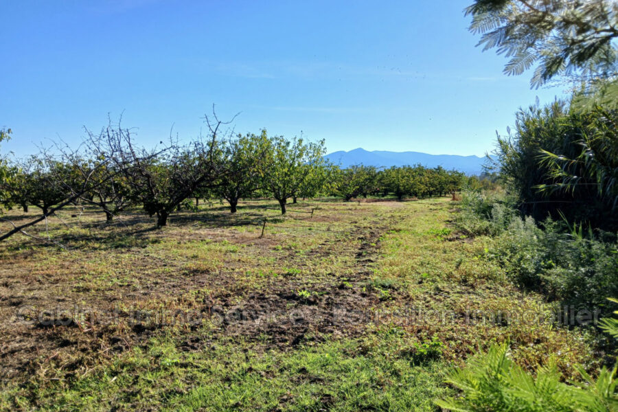 Terrain à vendre à Céret