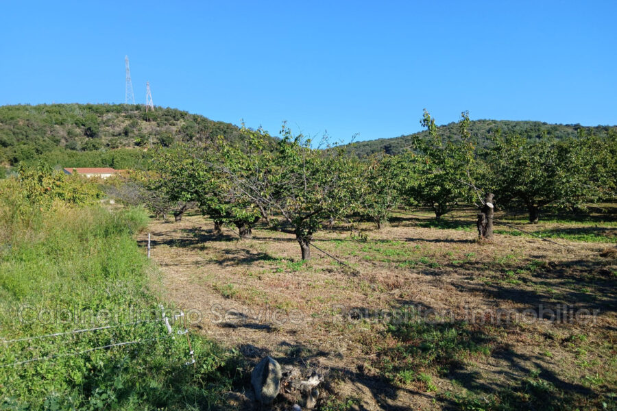 Terrain à vendre à Céret
