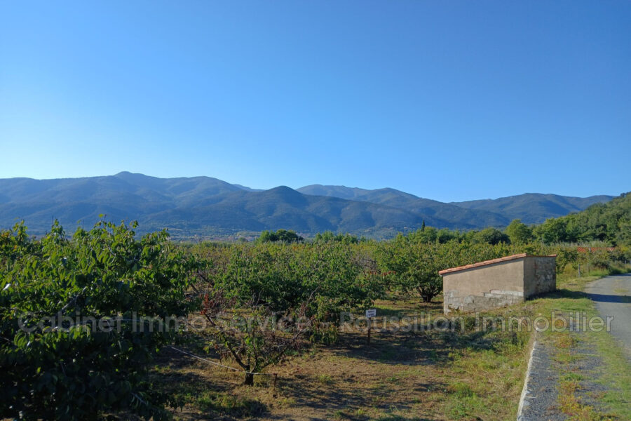 Terrain à vendre à Céret