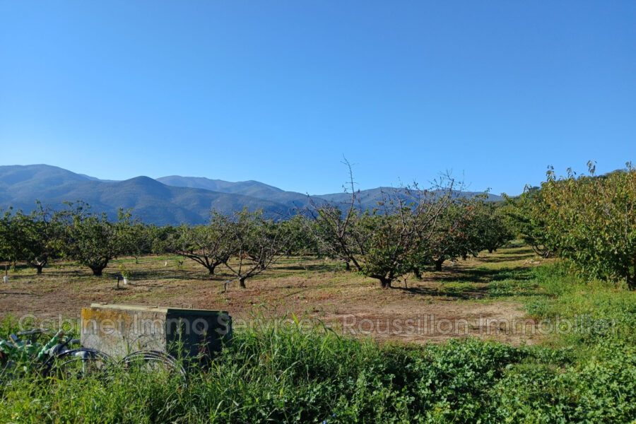 Terrain à vendre à Céret