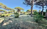 Terrain à vendre à Sainte-maxime