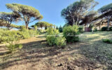 Terrain à vendre à Sainte-maxime