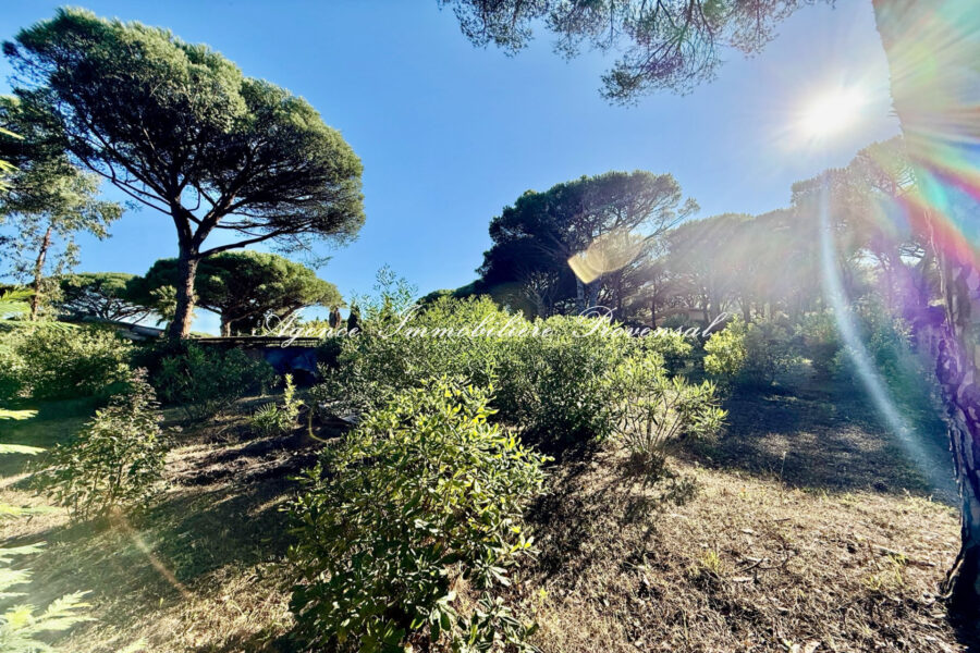 Terrain à vendre à Sainte-maxime
