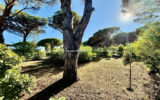 Terrain à vendre à Sainte-maxime