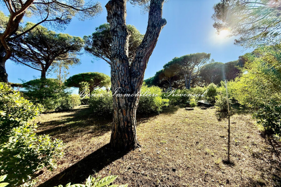 Terrain à vendre à Sainte-maxime
