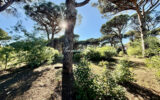 Terrain à vendre à Sainte-maxime