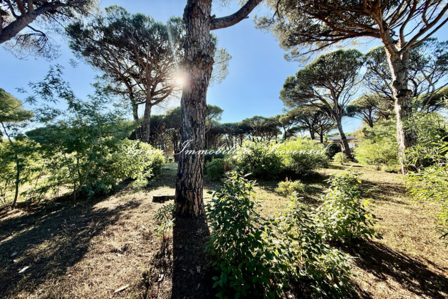 Terrain à vendre à Sainte-maxime