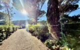 Terrain à vendre à Sainte-maxime