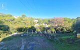 Maison à vendre à Vallauris — Vue nature — photo 16