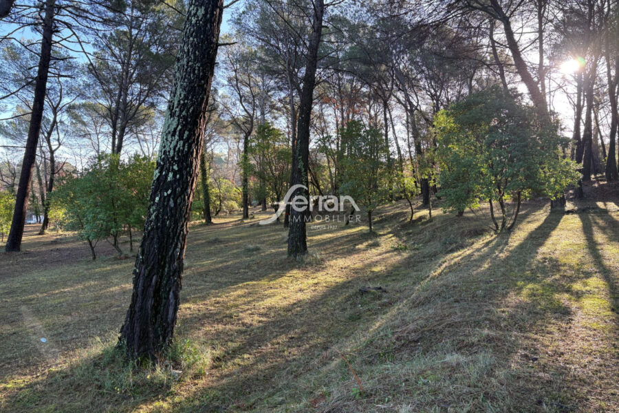 Terrain à vendre à Callas — Vue nature — photo 2