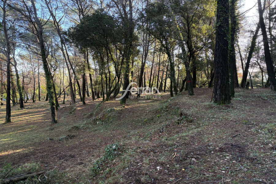 Terrain à vendre à Callas — Vue nature — photo 8