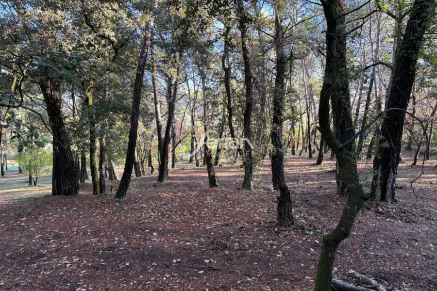 Terrain à vendre à Callas — Vue nature — photo 10