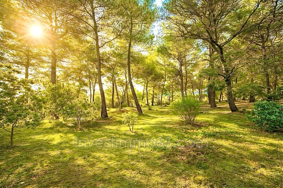 Maison à vendre à Trets — Vue nature — photo 3