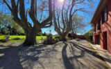 Maison à vendre à Eyguières — Vue nature — photo 4