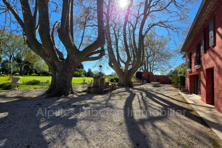 Maison à vendre à Eyguières — Vue nature — photo 4