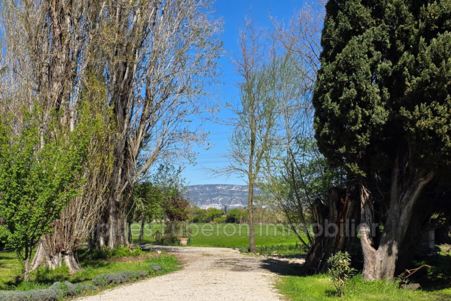 Maison à vendre à Eyguières — Vue nature — photo 1