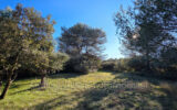 Terrain à vendre à Eygalières