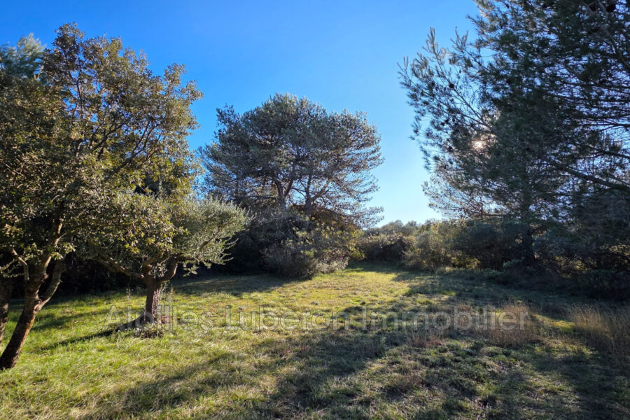 Terrain à vendre à Eygalières