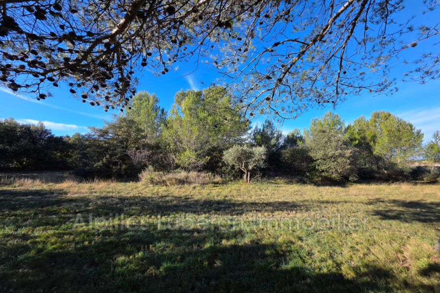 Terrain à vendre à Eygalières