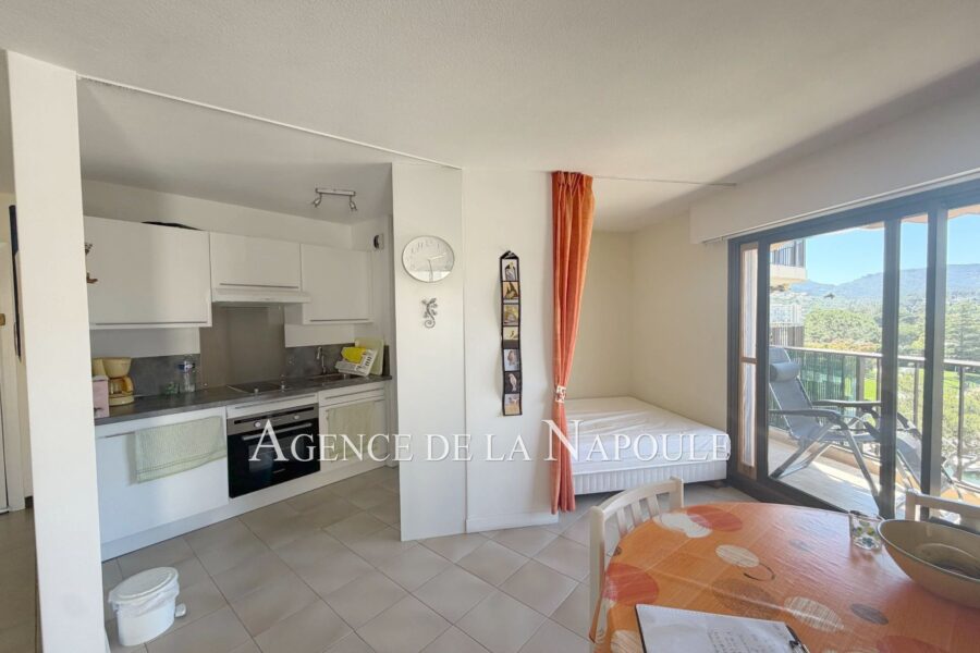 Appartement à vendre à Mandelieu-la-napoule