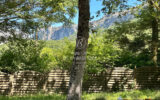Maison à vendre à Plan-d&rsquo;aups-sainte-baume