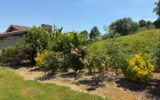 Maison à louer à Calonges