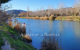 Appartement à vendre à Mandelieu-la-napoule